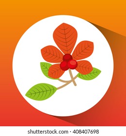 fall season design 