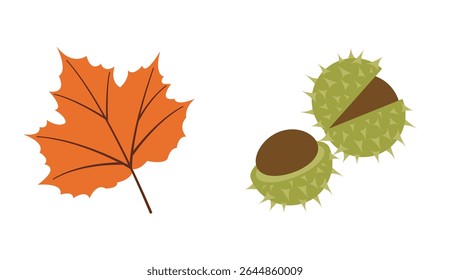 Fall season flat Icons: chestnut, orange leaf in modern vector style. Hand drawn set for banners, cards, social media