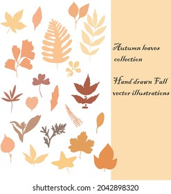 
Fall season. Hand drawn vector illustrations. Set of autumn leaves. Forest design elements. Hello Autumn!