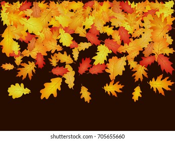 Fall season specific vector background, oak tree autumn foliage. Oak leaf abstract background seasonal vector illustration. Autumn leaves falling graphic design on dark brown. 