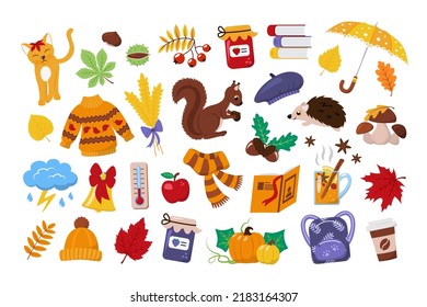 Fall season vector objects collection with umbrella, pumpkins, autumn leaves and plants, jar of jam, scarf, warm sweater, mug of mulled wine, school bag and books, etc. Isolated on white background