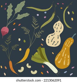 Fall set of autumn vegetables and roots vector illustrations: pumpkin, gourd, carrots, beans, leeks, beets