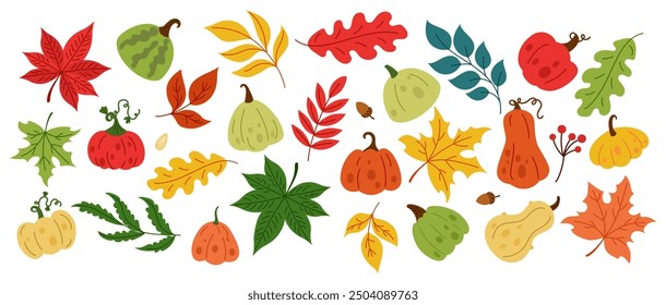 Fall squash. Autumn flower pattern gourd, leaf and harvest pumpkin. Doodle garden Halloween isolated elements. Floral, orange leaves, Thanksgiving cute, plant holiday. Vector background tidy icon