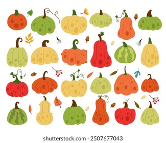 Fall squash. Food Halloween, autumn garden leaves and nuts. Thanksgiving celebration decor isolated elements. Farm cute agriculture. Ornament pumpkin vegetable. Vector tidy cartoon flat isolated set