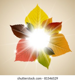 Fall sunny leafs abstract background with place for your text