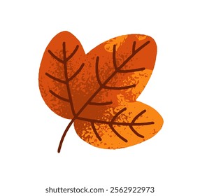 Fall tree leaf. Autumn seasonal decoration. Botanical natural design element, autumnal forest decor. Golden orange foliage clip art. Colored flat vector illustration isolated on white background