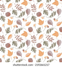 Fall vector background. Orange, green and brown colors. Autumn leaves and berries seamless pattern.