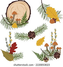 Fall vector forest compositions with leaves, mushrooms, pine branches, pinecones, wood slice, autumn ready made designs for printing and sublimation