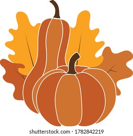 fall vector illustration, pumpkins harvest, thanksgiving mood