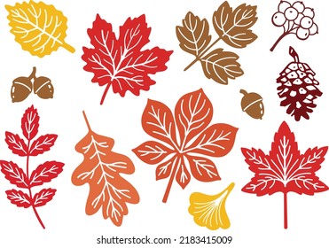 Fall vector leaves, acorns, berries and pine cone