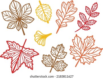 Fall vector leaves collection. Botanical illustration