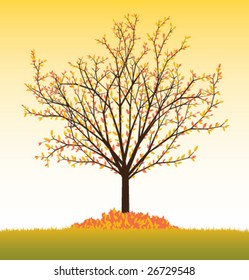 fall vector tree from seasonal set