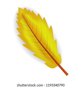 Fall yellow leaf icon. Realistic illustration of fall yellow leaf vector icon for web design isolated on white background