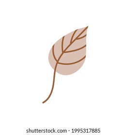 A fallen autumn leaf isolated on a white background. Vector illustration. Design element for autumn holidays