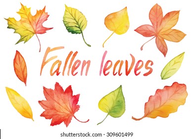 Fallen autumn leaves set by watercolor