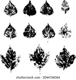 fallen autumn leaves vector set  stamps of natural leaves paint on paper. 