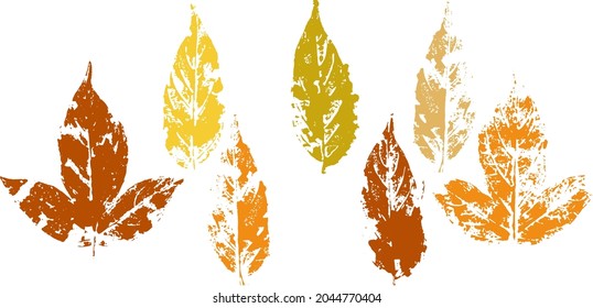 fallen autumn leaves vector set  stamps of natural leaves paint on paper. 