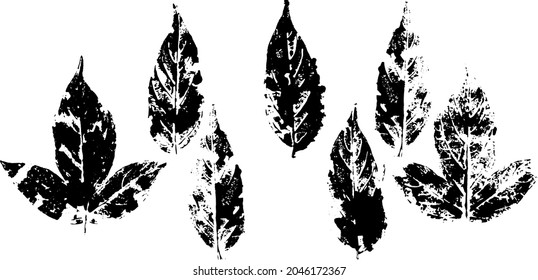 fallen autumn leaves vector set  stamps of natural leaves paint on paper. 