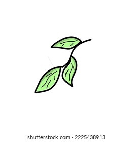 fallen leaf stalk vector illustration.