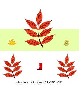 fallen leaf umbrella rubber boot autumnal vector background