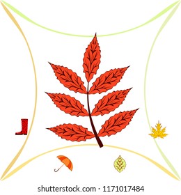 fallen leaf umbrella rubber boot autumnal vector background