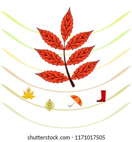 fallen leaf umbrella rubber boot autumnal vector background