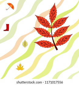 fallen leaf umbrella rubber boot autumnal vector background