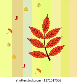 fallen leaf umbrella rubber boot autumnal vector background