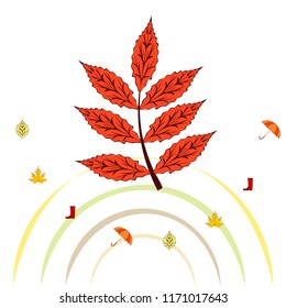 fallen leaf umbrella rubber boot autumnal vector background