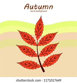 fallen leaf umbrella rubber boot autumnal vector background