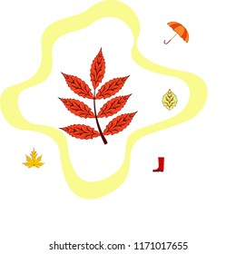 fallen leaf umbrella rubber boot autumnal vector background
