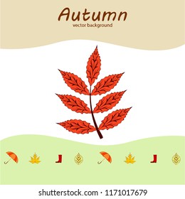 fallen leaf umbrella rubber boot autumnal vector background