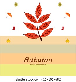fallen leaf umbrella rubber boot autumnal vector background