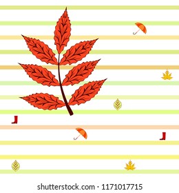 fallen leaf umbrella rubber boot autumnal vector background