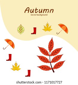 fallen leaf umbrella rubber boot autumnal vector background