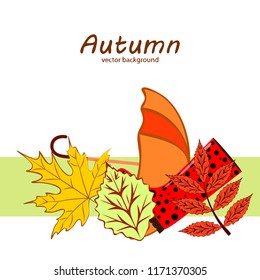 fallen leaf umbrella rubber boot autumnal vector background