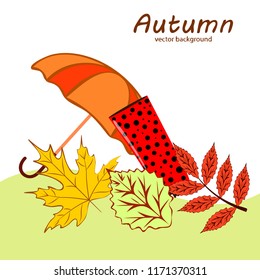 fallen leaf umbrella rubber boot autumnal vector background