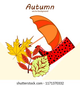 fallen leaf umbrella rubber boot autumnal vector background