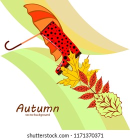 fallen leaf umbrella rubber boot autumnal vector background