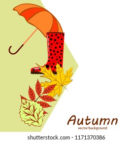 fallen leaf umbrella rubber boot autumnal vector background