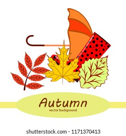 fallen leaf umbrella rubber boot autumnal vector background