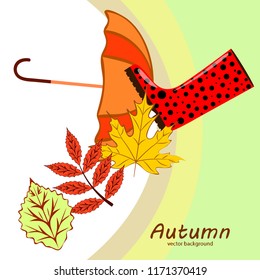 fallen leaf umbrella rubber boot autumnal vector background