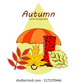 fallen leaf umbrella rubber boot autumnal vector background