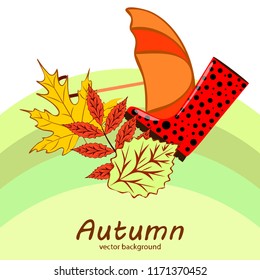 fallen leaf umbrella rubber boot autumnal vector background