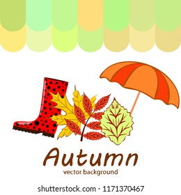 fallen leaf umbrella rubber boot autumnal vector background