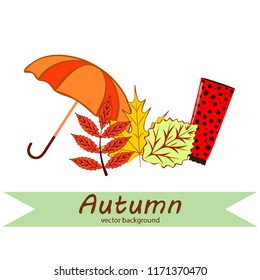 fallen leaf umbrella rubber boot autumnal vector background