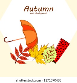 fallen leaf umbrella rubber boot autumnal vector background