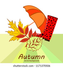 fallen leaf umbrella rubber boot autumnal vector background