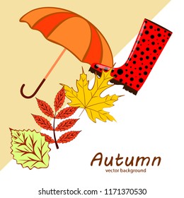 fallen leaf umbrella rubber boot autumnal vector background