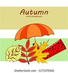 fallen leaf umbrella rubber boot autumnal vector background